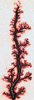 fractal lichtenberg figure wood burning with electricity