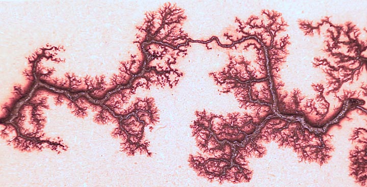 fractal lichtenberg figure wood burning with electricity